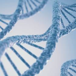 Lékařská genetika - genetické vyšetření